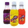 Chaparritas Surtidos 250ml (12piezas)