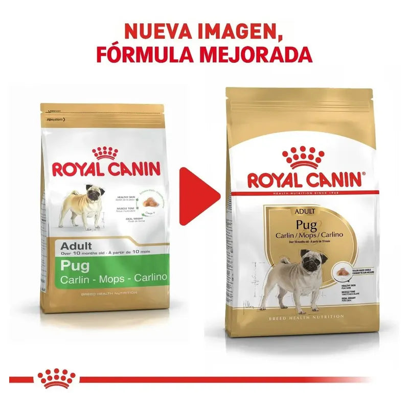 Royal Canin Pug Adult 4.53 Kg Sellado