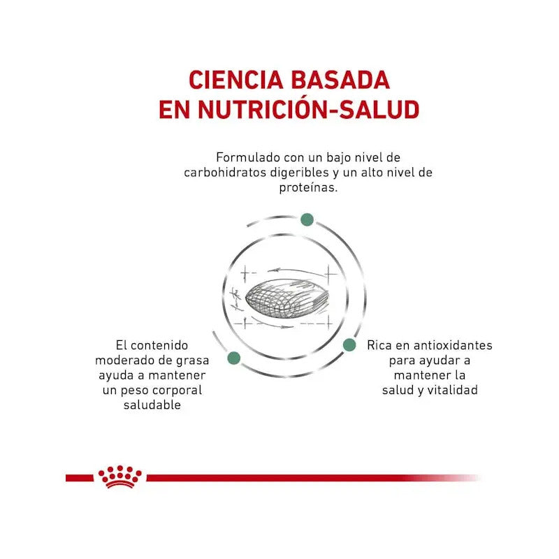Alimento Royal Canin Veterinary Diet Canine Glycobalance Para Perro Adulto Los Tamaños Sabor Mix De 8 Kg
