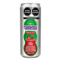 Frutastica Fresa Sandia 355ml (12piezas)