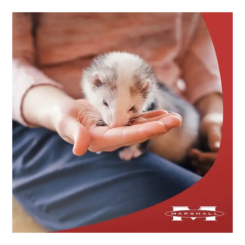 Alimento Hurón Súper Premium Marshall Ferret Diet Gde 1.8kg