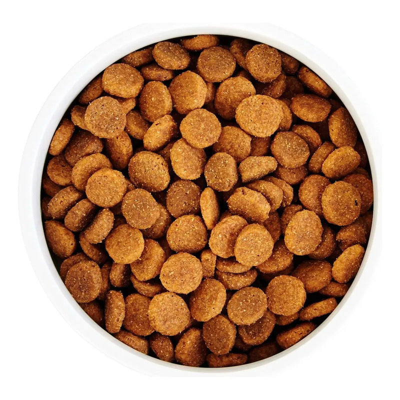 Wholehearted Perro Cuidado Pelo/piel 11 Kg Alimento Natural