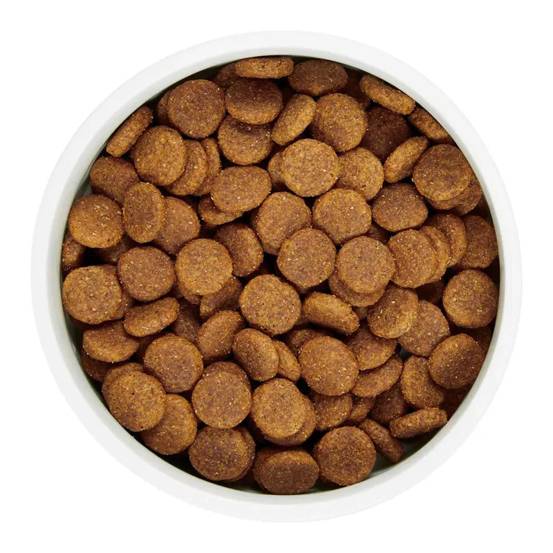 Wholehearted Alimento Natural Para Perro 11 Kg Salmon