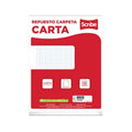 Repuesto Carpeta Scribe/carta /cuadro 5 Mm/ 5 Pq 100 H C/u