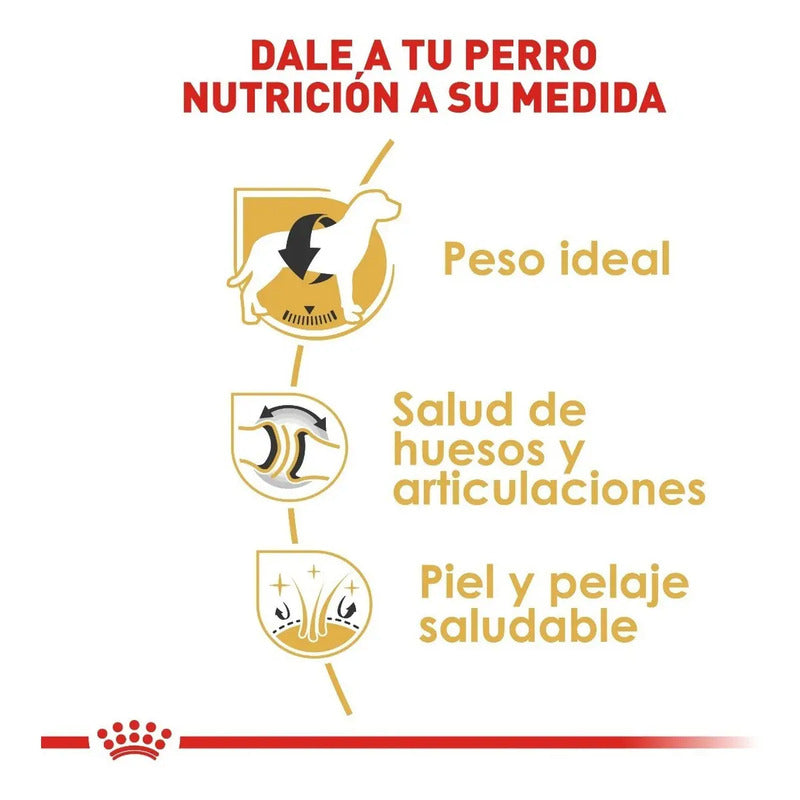 Royal Canin Labrador 13.6 Kg Sellado
