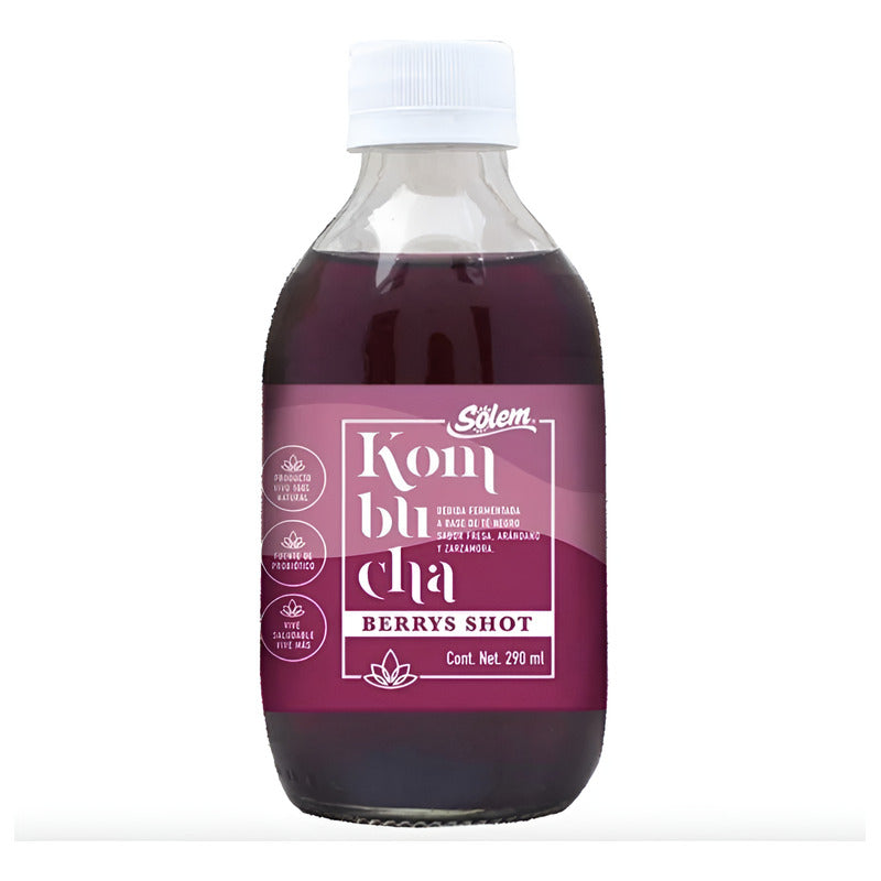 Bebida Kombucha Sólem Sabor Berrys Shot 6 Piezas De 290ml