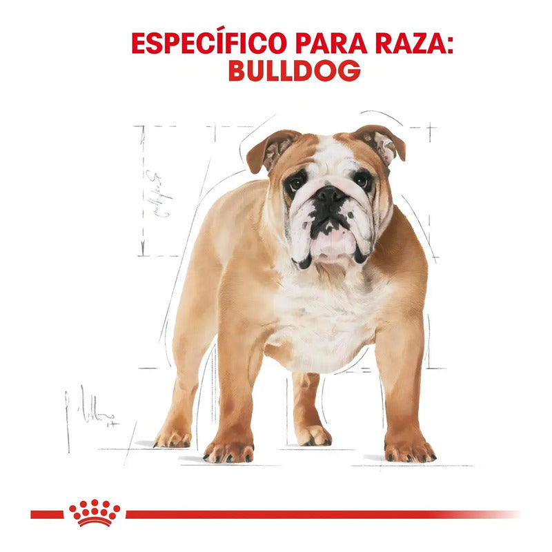 Royal Canin Bulldog Adulto 13.61 Kg Sellado