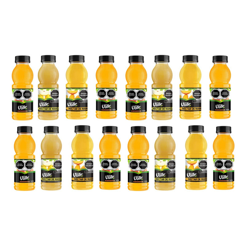 Jugo Del Valle Botellin  16 Pz De 237 Ml Surtido