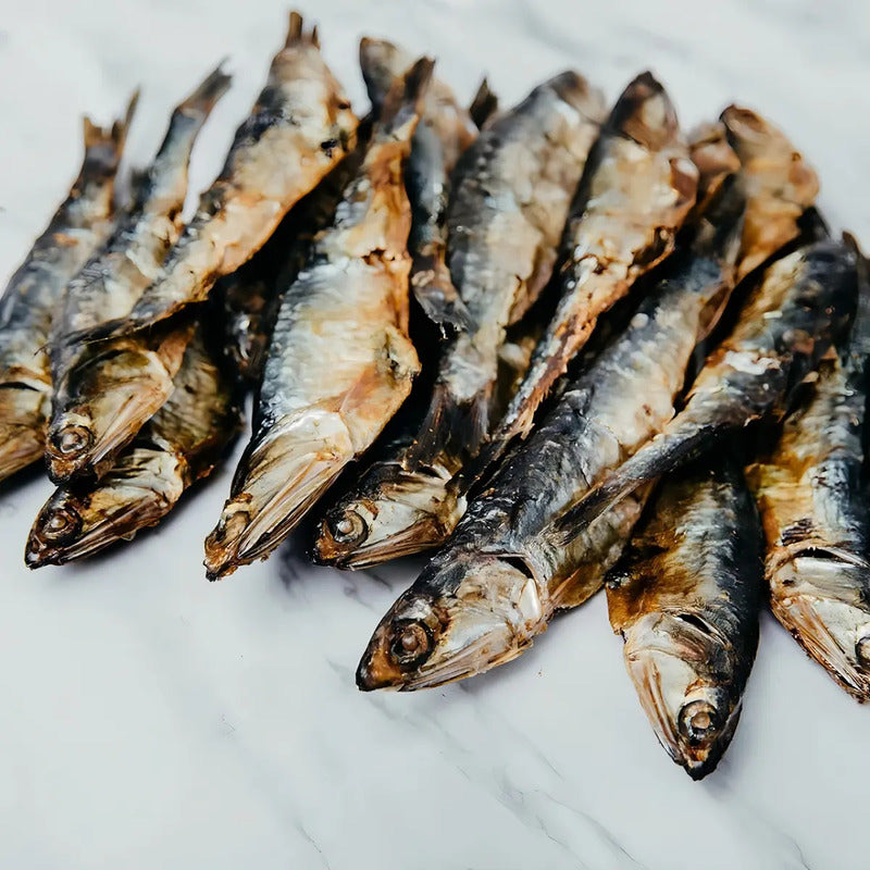 Premio Para Perros Y Gatos, Anchovetas 80 Gr, Bleiz Raw Food