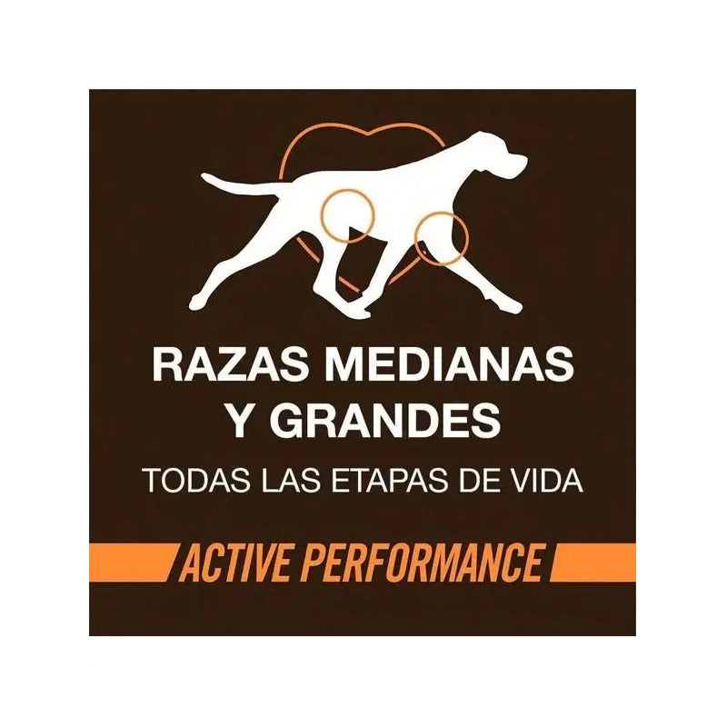 Alimento Seco Para Perro Whole Hearted Active Performance Pollo Y Arroz Adulto 20.4 Kg