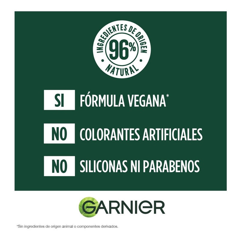 Shampoo Garnier Fructis Hair Food Reparación Coco 300ml