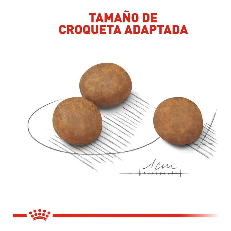 Royal Canin Perro Cachorro Maxi Large 13.6 Kg