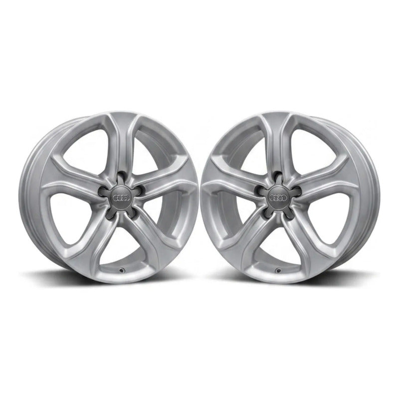 Rines Audi 17 5/100 (2piezas) Plateado
