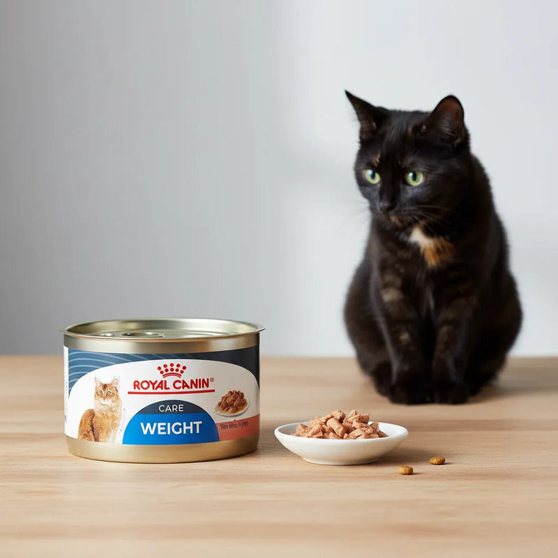 Royal Canin Weigh Care Felino Slices In Gravy 145g (6piezas)
