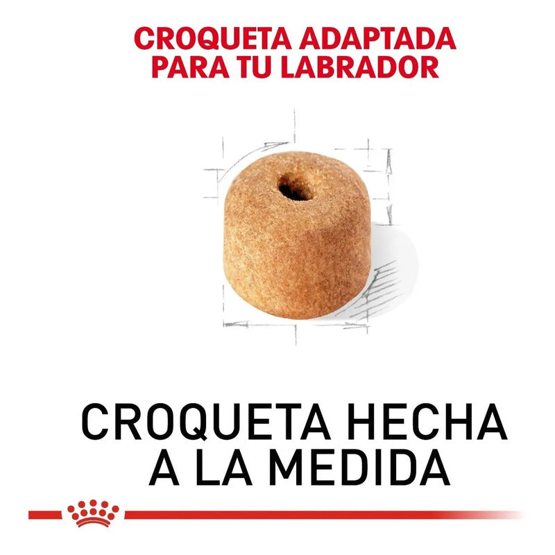 Royal Canin Labrador 13.6 Kg Sellado