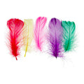 Plumas De Ganzo 3-8cm 10g