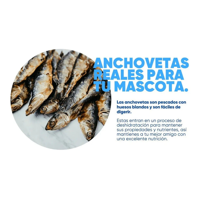 Premio Para Perros Y Gatos, Anchovetas 80 Gr, Bleiz Raw Food
