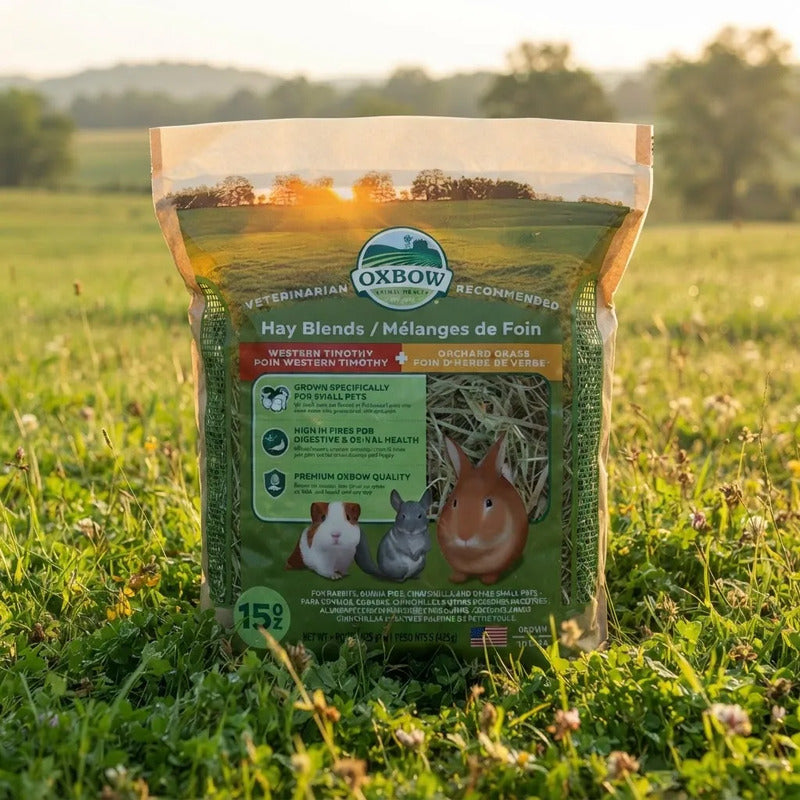 Heno Mezcla Orchard Y Timothy Para Pequeños Mascotas, 425 G