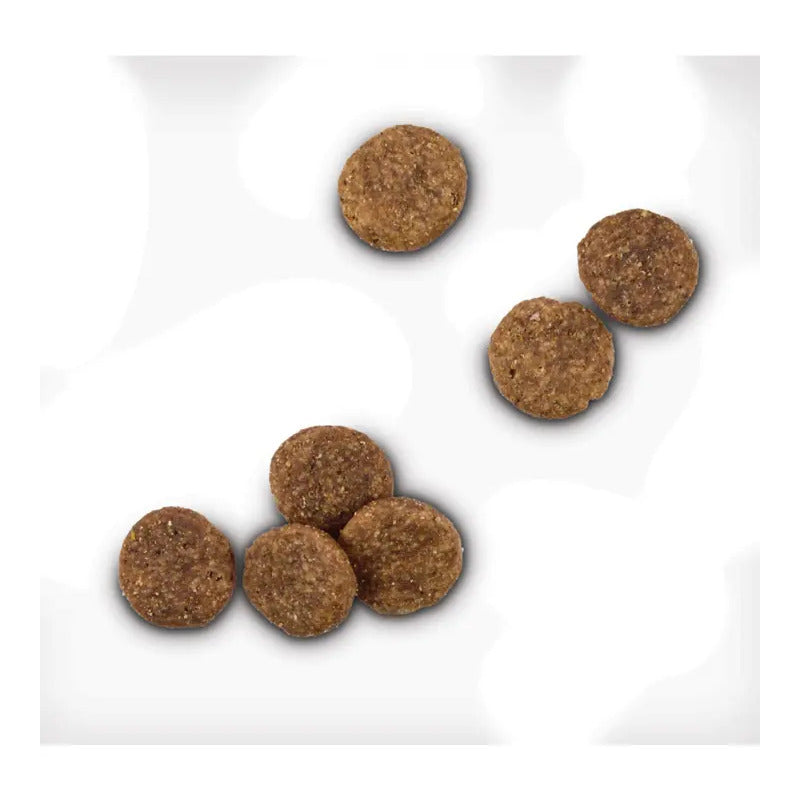 Wholehearted Alimento Natural Para Perro 11 Kg Salmon