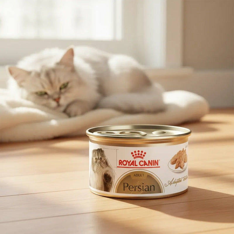 Alimento Royal Canin Humedo Para Gato Persa 85g (6piezas)