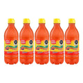 Salsa La Botanera 430 Ml 5 Piezas