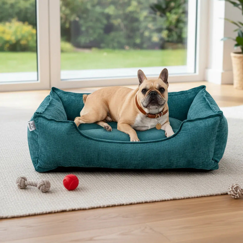 Cama Con Bordes Altos Color Turquesa Para Perro Chico Turquesa Rectangular