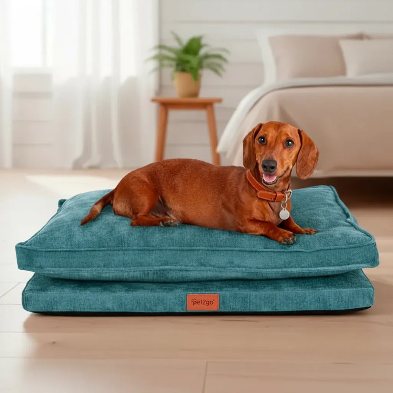Cama Rectangular Extendida Color Turquesa Para Perro Mediano Azul Rectangular